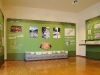 sala-verde1 sala-verde1