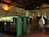 sala-al-primo-piano6 sala-al-primo-piano6