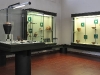 sezione-preistorica-e-veneti-antichi4 sezione-preistorica-e-veneti-antichi4