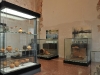 sala-unica5 sala-unica5