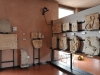 sala-greca4 sala-greca4