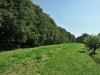 le-motte-6 le-motte-6
