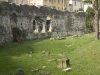 arena-romana arena-romana