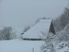 dscf7624 dscf7624