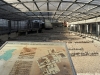 domus1 domus1